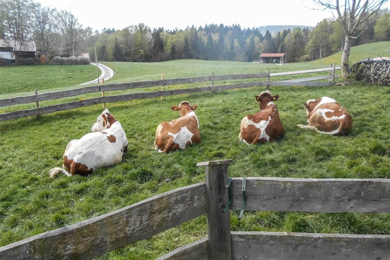 Oberreiterhof Feriegård *